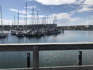 Smillas meerZeit Ausblick