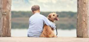 Ostseeurlaub mit Hund